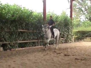 test allures montées