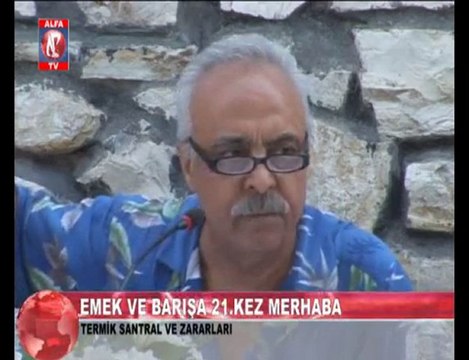 Termik Santralin Zararları 6