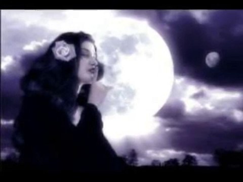 Tarık Tüfekçi Susma