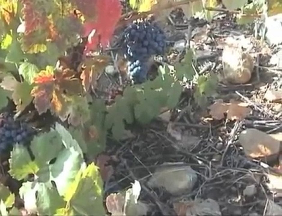 Chemin 7/8 Le Puy Santiago :  Astorga - Palas