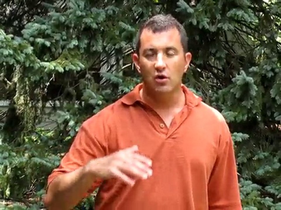 Psychologist, Consultant, & Business Coach - dr brett denki