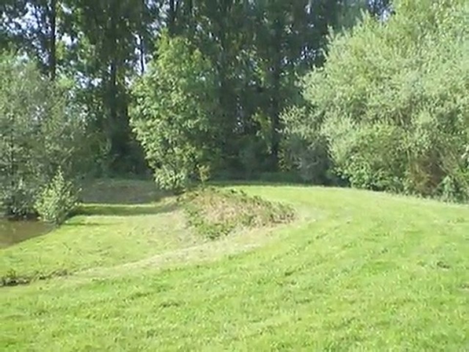 IMGP0982