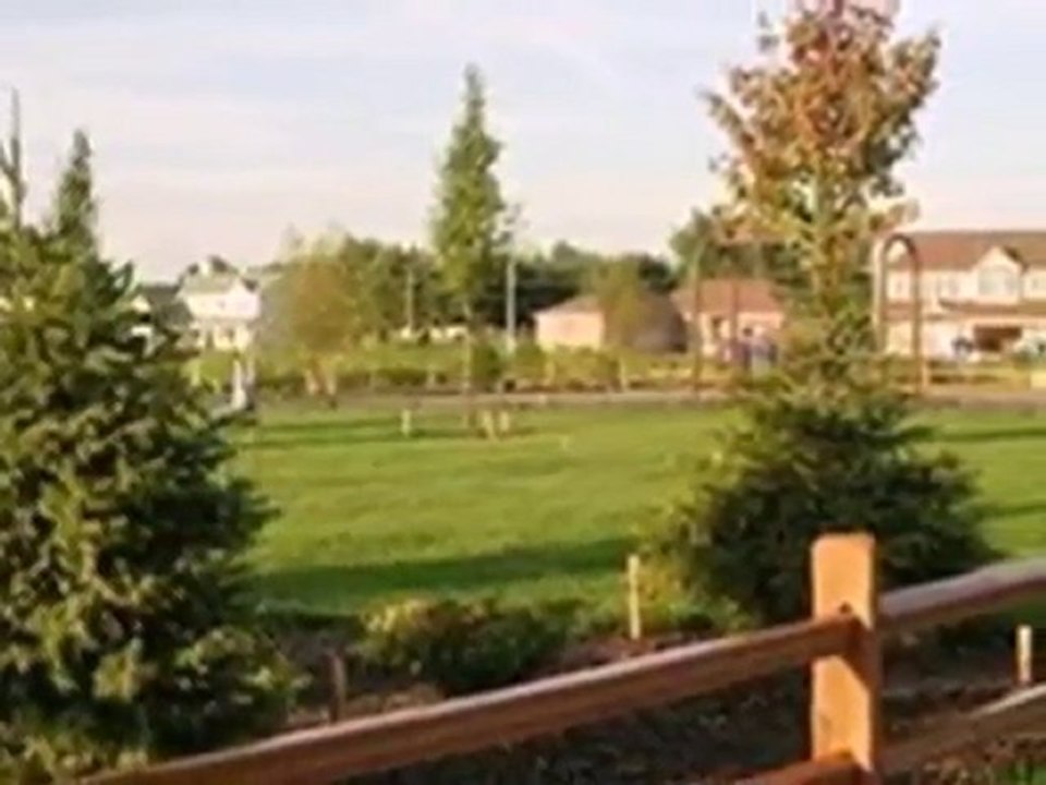 Homes for Sale - 7698 96th - Lot 94 Pl - Saint John, IN 4637