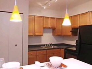 Homes for Sale - 3033 N Sheridan Rd Apt 1011 - Chicago, IL 6