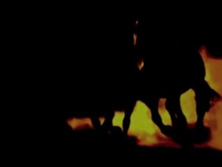 Sourate 2 - Al-Baqarah - La Vache [5/7] Verset 207 à 244