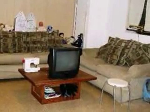 Homes for Sale - 2237 Ramsey Cir - Schaumburg, IL 60194 - Co