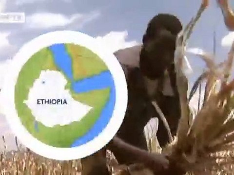 The Deforestation of the World | Global 3000