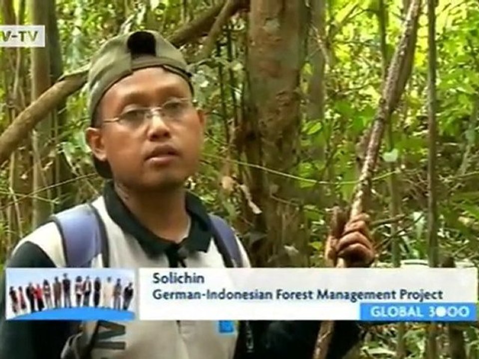 Environmental Protection in Sumatra | Global 3000