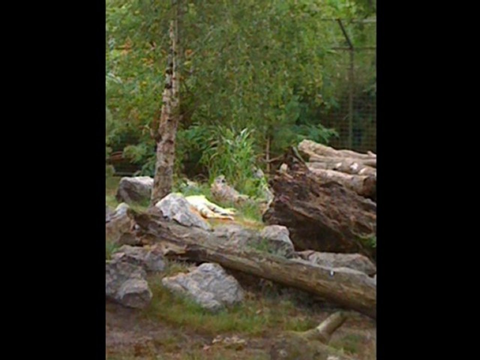 Zoo de pessac