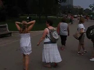 Chutes Niagara 3/2010 USA