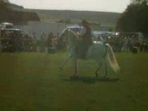 VID 00008-20090906-1657