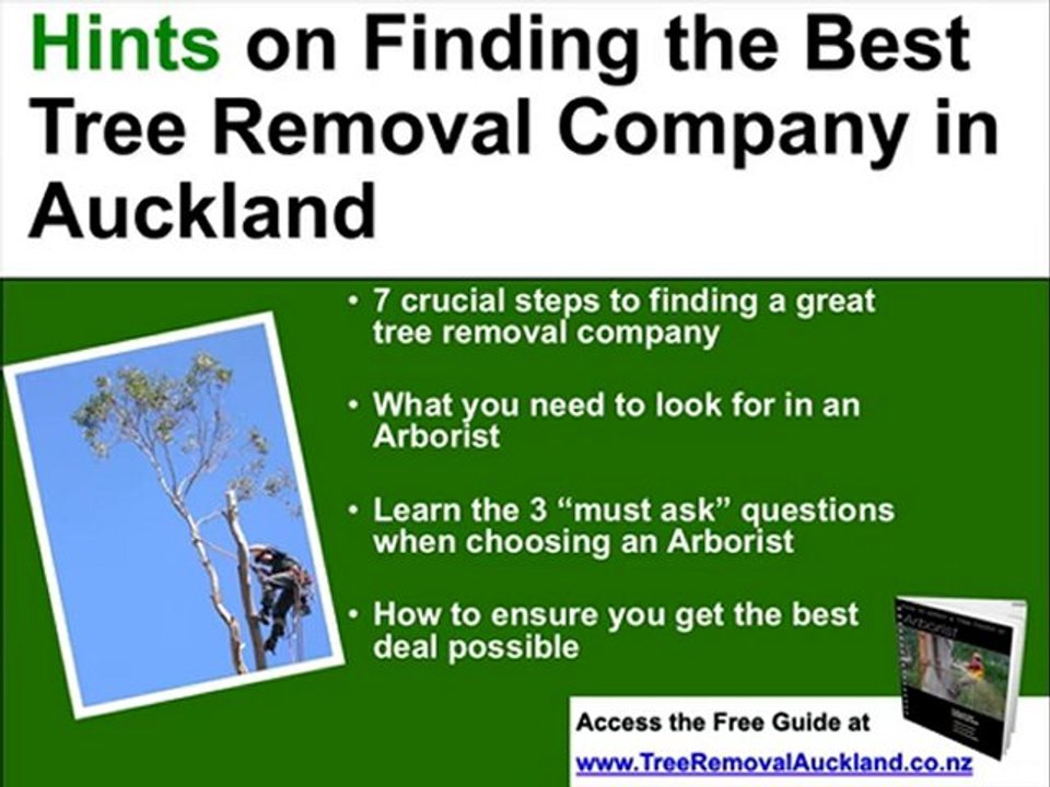 Tree Removal in Auckland? Ph: (09) 281 3205 for a Free Quote