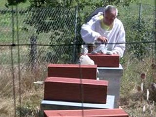 Le Maître des Abeilles dit juillet 2010