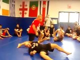 fedor Takedowns