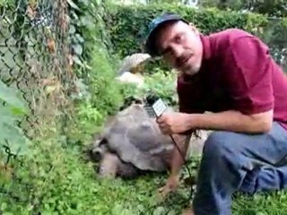 Wild Bill: Bill Ervolino at the Turtle Back Zoo.