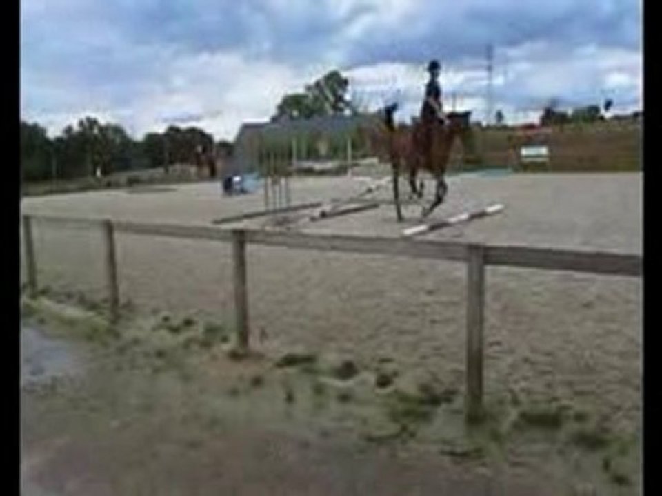 Roxana et moi - Séance d'obstacle 12 Août