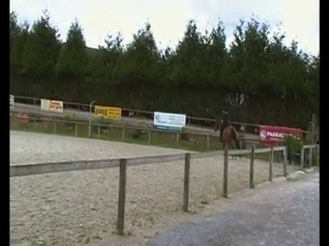 Roxana et moi - Séance d'obstacle 12 Août