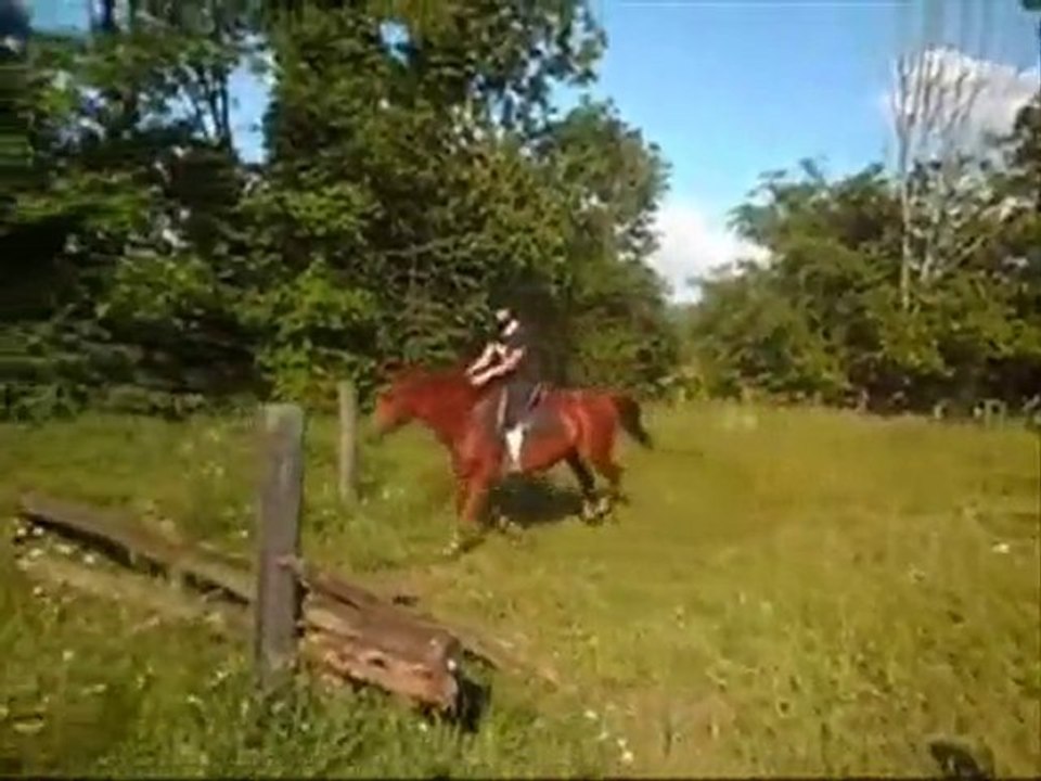 Je Ne Me Lasserais Jamais de lui ..♥