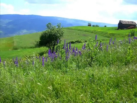 KASTAMONU-ARAÇ-KİRAZLI KÖYÜ VE YAYLASI