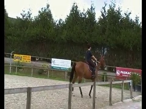 Roxana et moi - Séance d'obstacle 12 Août