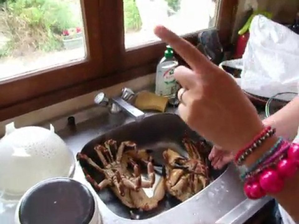 CRABE 1