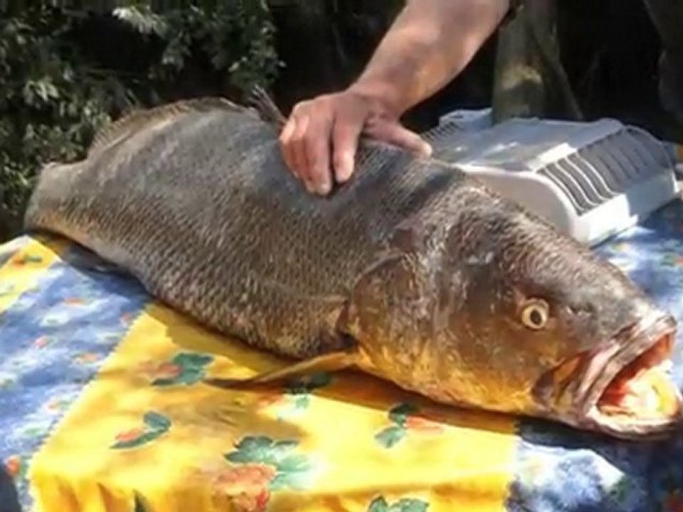 La pêche sur l'île de Noirmoutier