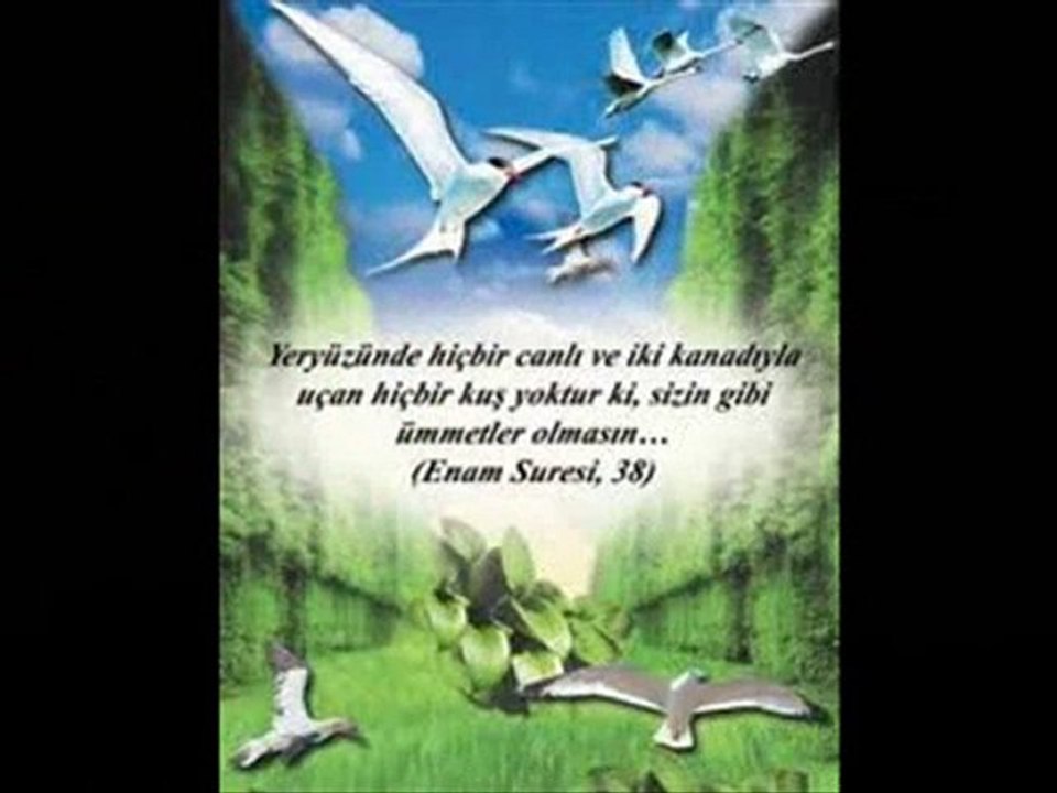 Ramazan ı Şerif