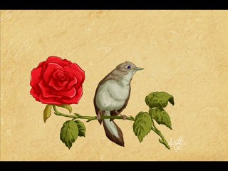 İsmail Doruk- Bülbül kasidesi