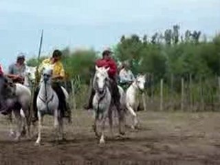 Manade à Aigues-Mortes2