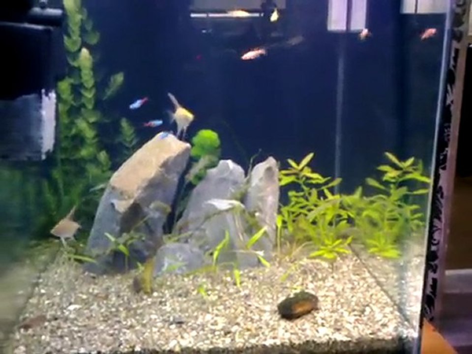 125 lt Bitkili Vol.2