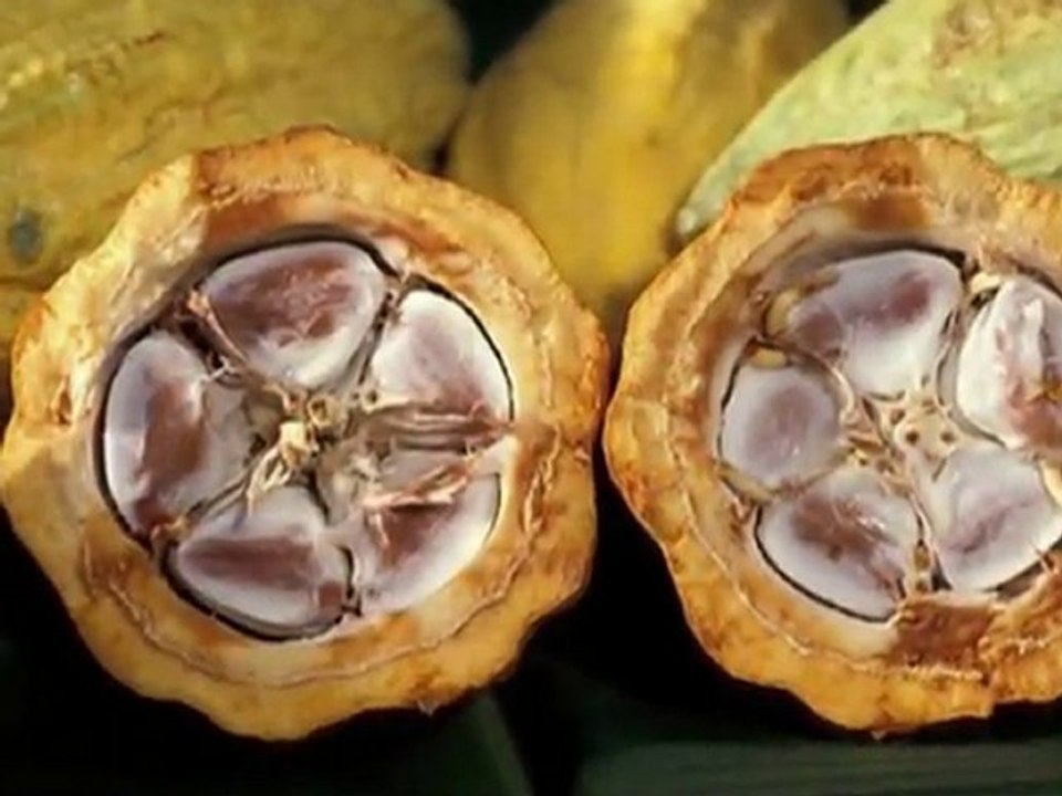 dark chocolate diet: chocolate weight loss