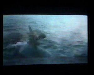 Sauvez Willy 3 [4/5]