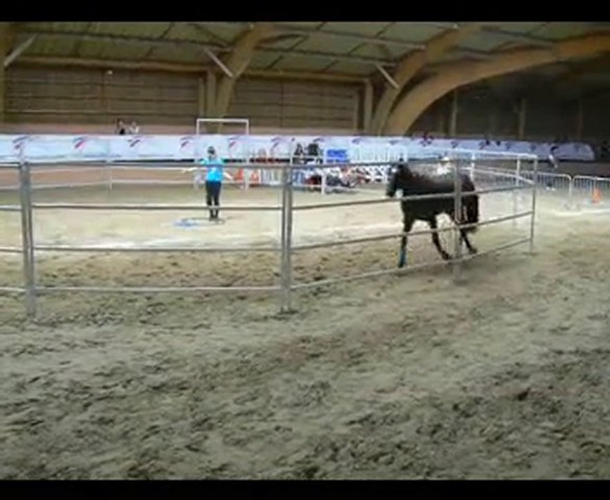 equifeel2010
