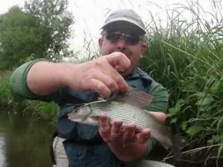 Partage au bord de l'eau