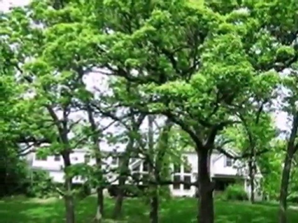 Homes for Sale - 7 Yorkshire Woods - Oak Brook, IL 60523 - C