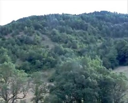 Ariegeois y liebres - 4