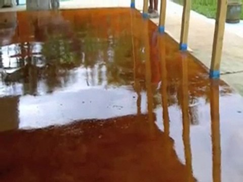 Concrete Staining Hialeah Gardens FL 305