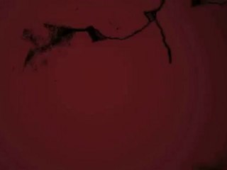 Nasty Boys teaser 2010