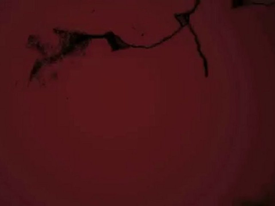 Nasty Boys teaser 2010