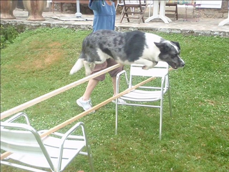 séance de saut