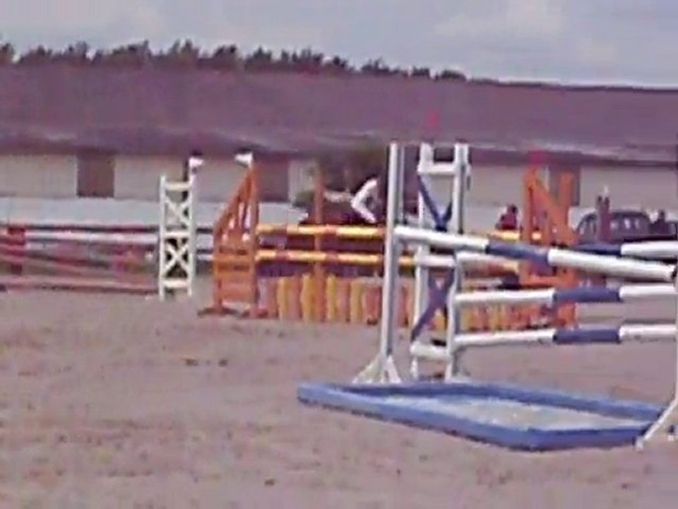 P8130008