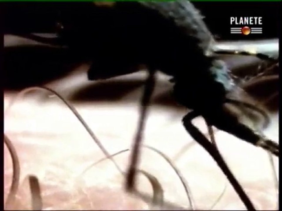 le canal de panama 3