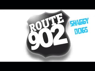 Festival le pic sonne shaggy dogs