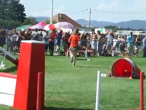 Dridrine Agility 2 Finale trophée par équipe 2010