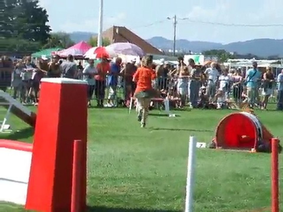 Dridrine Agility 2 Finale trophée par équipe 2010