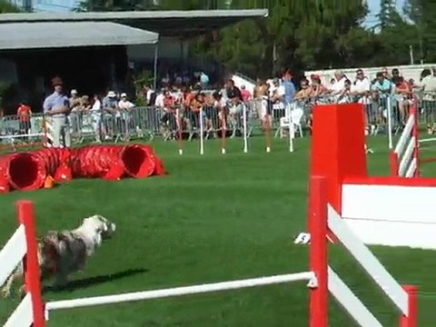 Bola Jump Finale trophée par équipe 2010