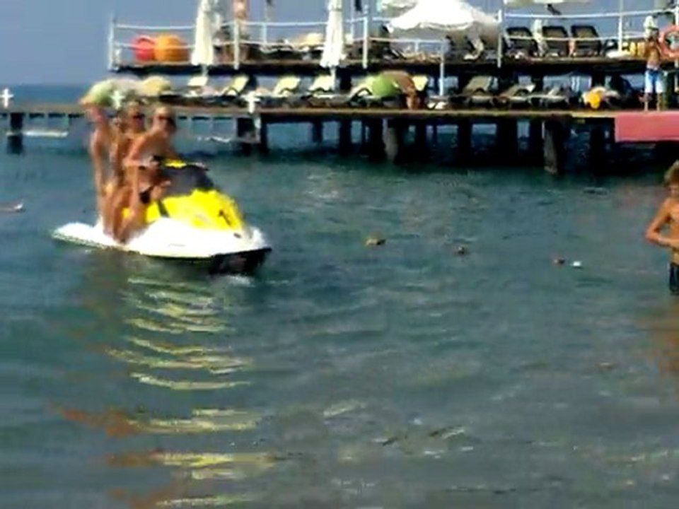 tank von hasenpfad 4 bildircin aport drahthaar av kopegi