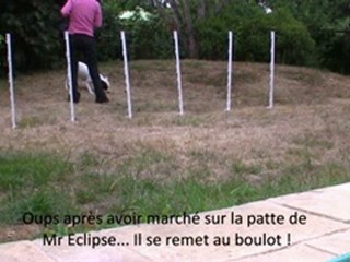 Slalom 6 piquets droit