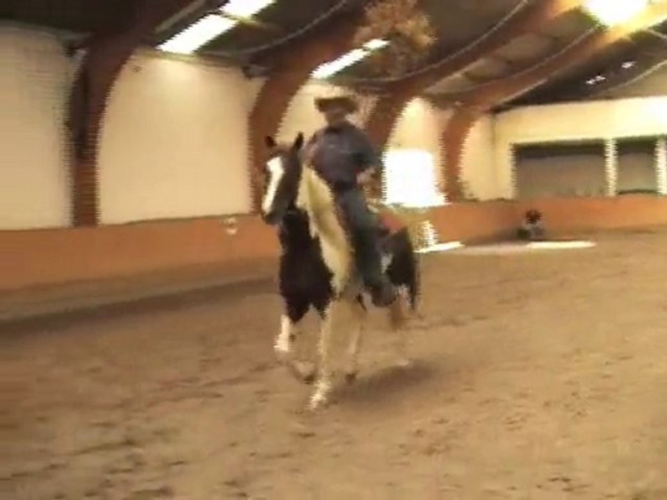 Berittpferd s.c.pathy officer