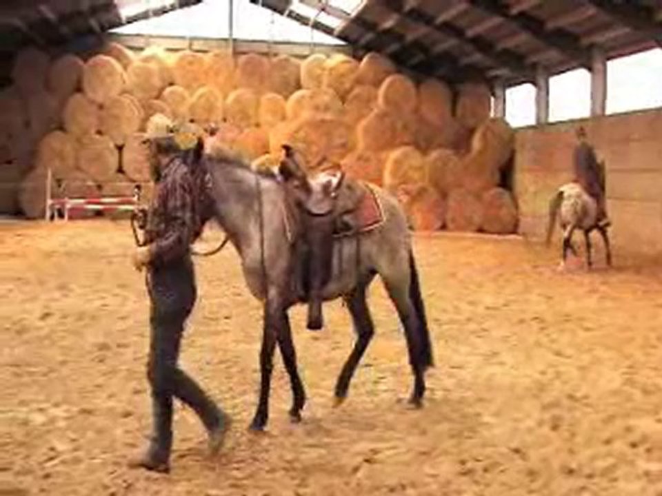 GMR Miss Kitty - Das erste Aufsitzen